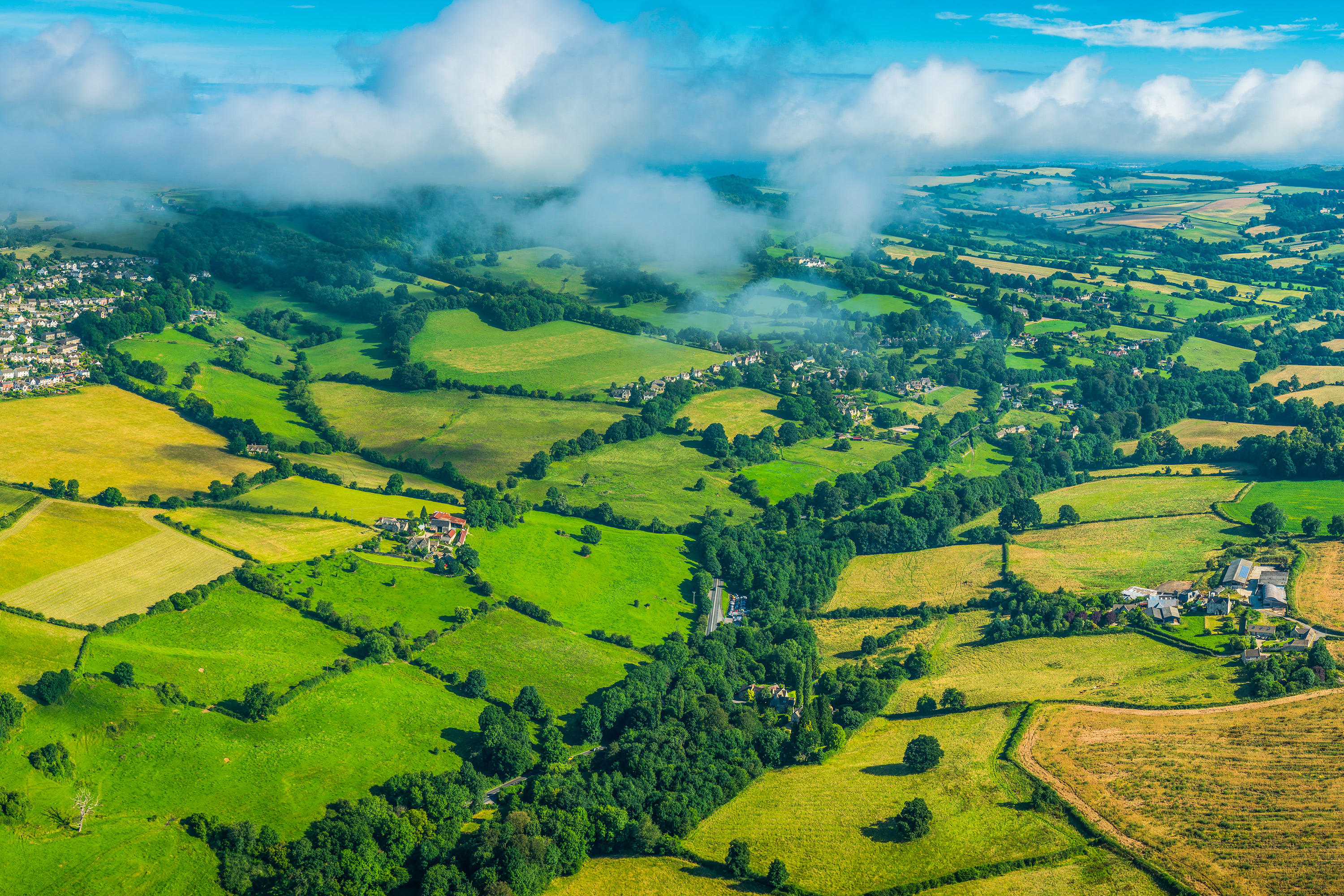 Aerial view of fields