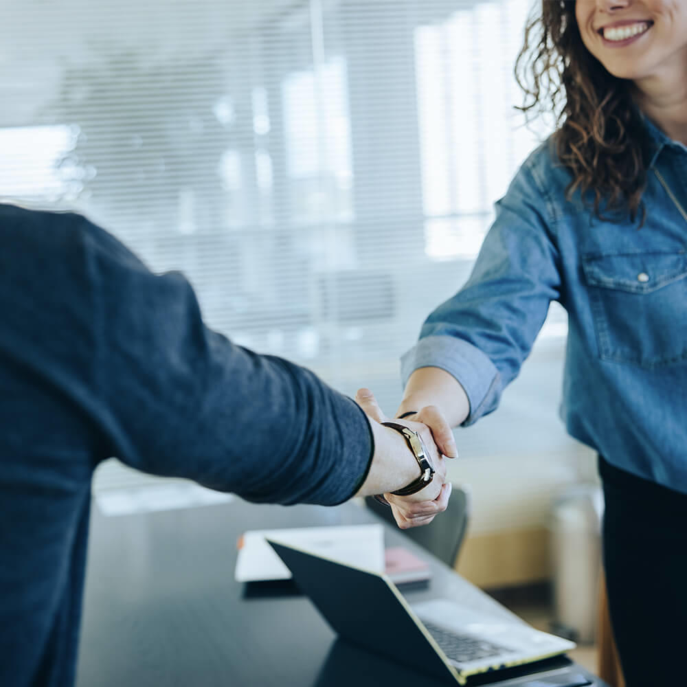 Partners shaking hands